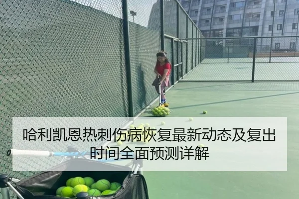 哈利凯恩热刺伤病恢复最新动态及复出时间全面预测详解